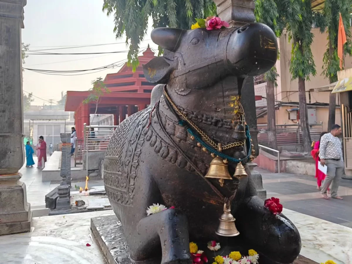 Nandi statue at Mahakaleshwar Temple Ujjain during misty morning, featuring black bull garlands bells devotees, perfect spiritual Madhya Pradesh tour package.