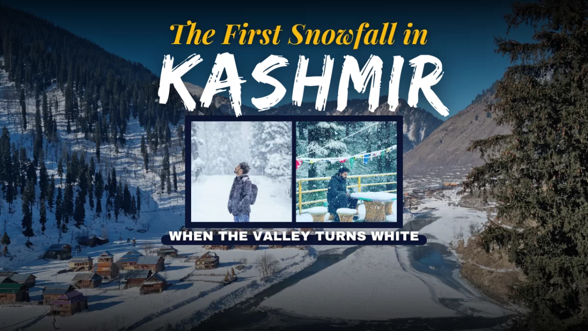 Homepage Banner