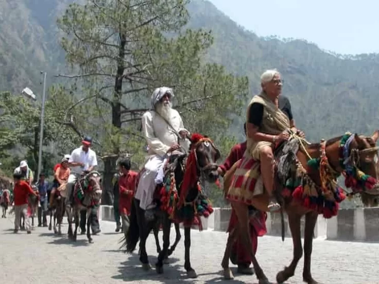 Pilgrims on decorated horse pony rides Katra Jammu Kashmir during sunny day, featuring traditional attire Trikuta mountains pine trees backdrop Vaishno Devi yatra start, perfect pilgrimage experience Jammu Kashmir tour packages.