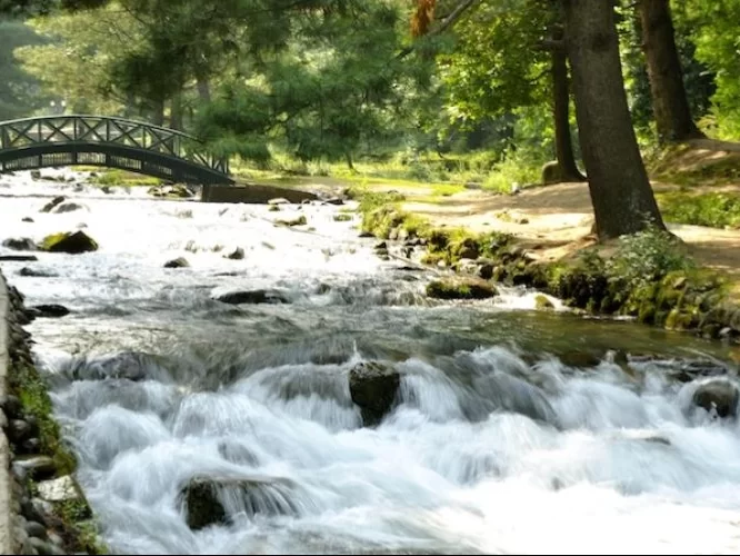 Kokernag Jammu Kashmir wooden arched bridge flowing stream pine trees green meadows Jammu Kashmir tour packages.