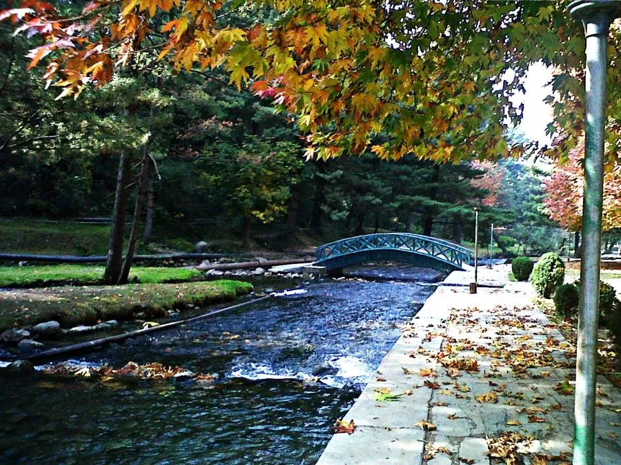 Kokernag Jammu Kashmir turquoise arched bridge autumn maple leaves pine trees flowing stream garden path Jammu Kashmir tour packages. 