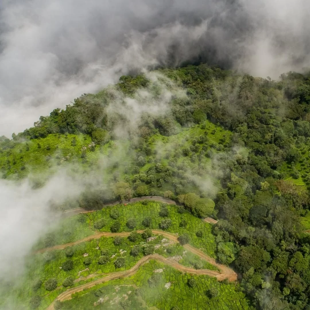Aerial view of misty hills and winding road at Lambs Rock Viewpoint Coorg during cloudy day, featuring green forests, clouds, hairpin bends, perfect panoramic experience Karnataka tour packages.