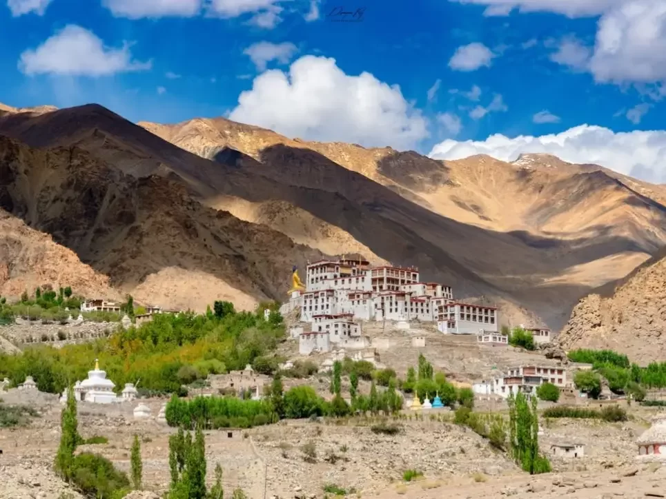 Stunning Likir Gompa Monastery Ladakh India perched on hillside with white red roofed buildings golden spires amid green poplar trees autumn foliage barren brown mountains blue sky clouds sunset glow, perfect Ladakh tour package.