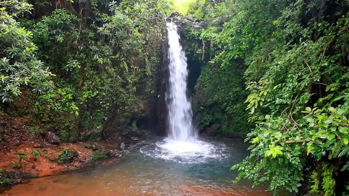 Apsarakonda Waterfalls in Honnavar during daylight, featuring cascading waterfall and lush rainforest, perfect nature experience, Karnataka tour packages.