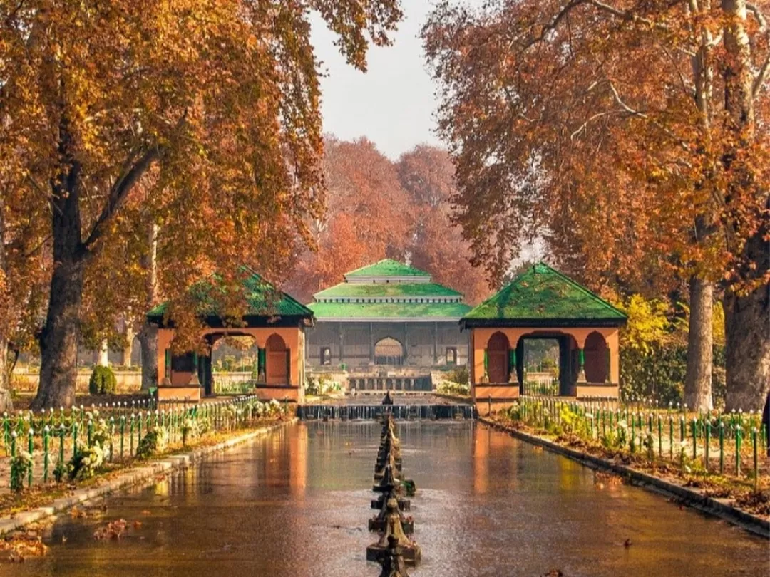 Chinar trees and pavilions at Nishat Garden Srinagar during autumn, featuring orange foliage, central pool and reflections, perfect romantic experience in Srinagar tour package. 