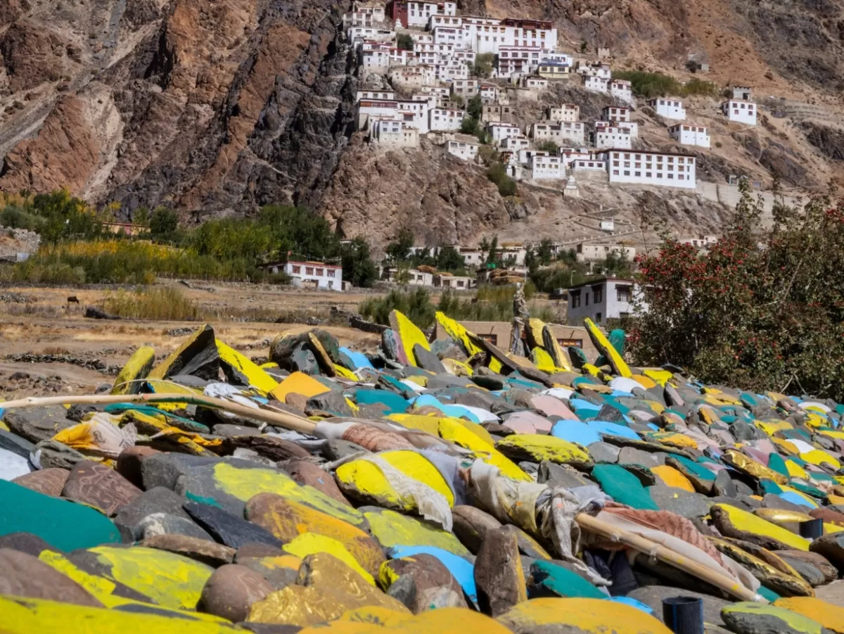 Padum Village Zanskar Ladakh distant white hilltop monastery houses clinging to rugged brown cliffs foreground mani prayer stones painted yellow blue green scattered field, high-altitude Buddhist village landscape tour package. 