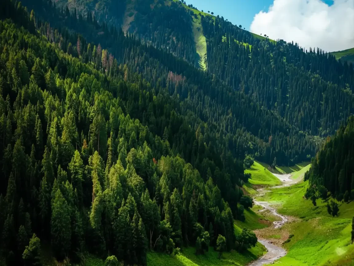 Lush pine forests and Lidder River valley in Pahalgam at sunny day, featuring Himalayan mountains and green meadows, perfect adventure experience Pahalgam tour package.