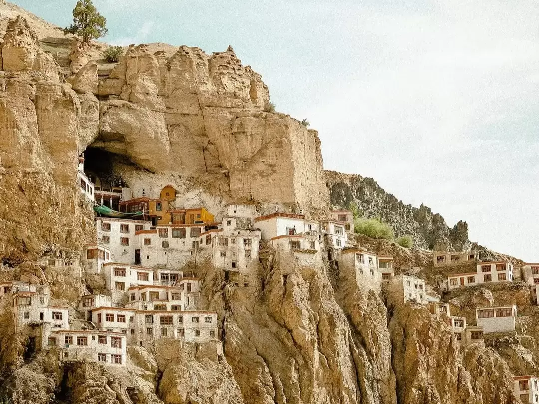 Phuktal Gompa (Phugtal Monastery) in Zanskar Valley Ladakh perched dramatically on sheer cliff face with white buildings and cave entrance amid rocky mountains under clear sky, perfect Ladakh tour package.