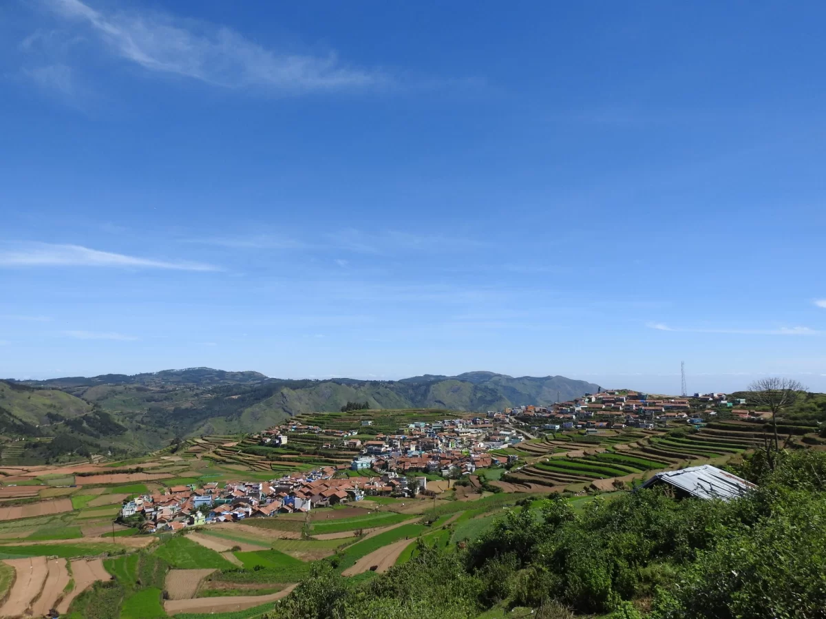 Poombarai village near Kodaikanal, ringed by wide terraced fields and distant blue hills under a clear sky, ideal for panoramic countryside views and peaceful Tamil Nadu tour packages