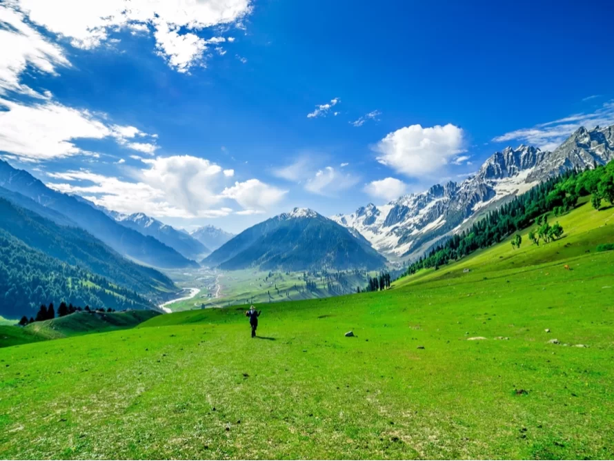 Hiker trekking at Sonamarg meadows during sunny day, featuring snow-capped Himalayas & Sindh river valley, perfect adventure experience Kashmir tour packages.