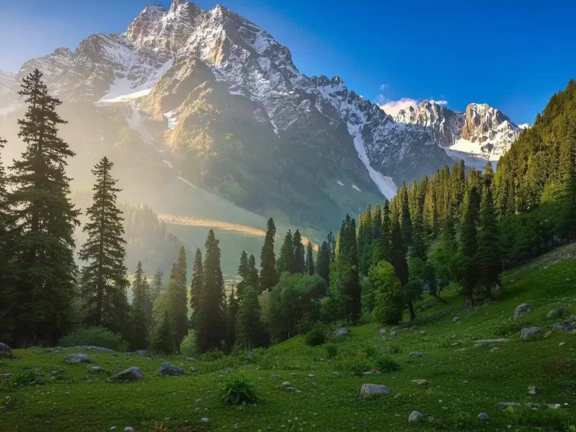 Sunlit snowy peaks at Sonamarg during golden hour, featuring pine trees & green meadows, perfect adventure experience Kashmir tour packages. 