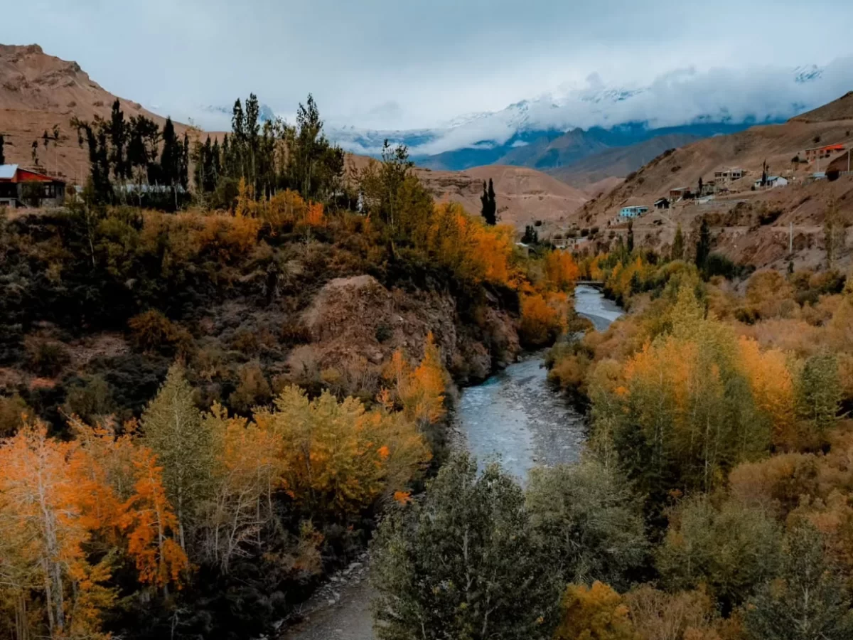 Autumn valley view along Srinagar Leh Highway near Kargil Ladakh during cloudy day, featuring golden poplar trees winding river village houses distant snowy Himalayas, perfect scenic road trip experience with Srinagar Leh Highway tour package. 