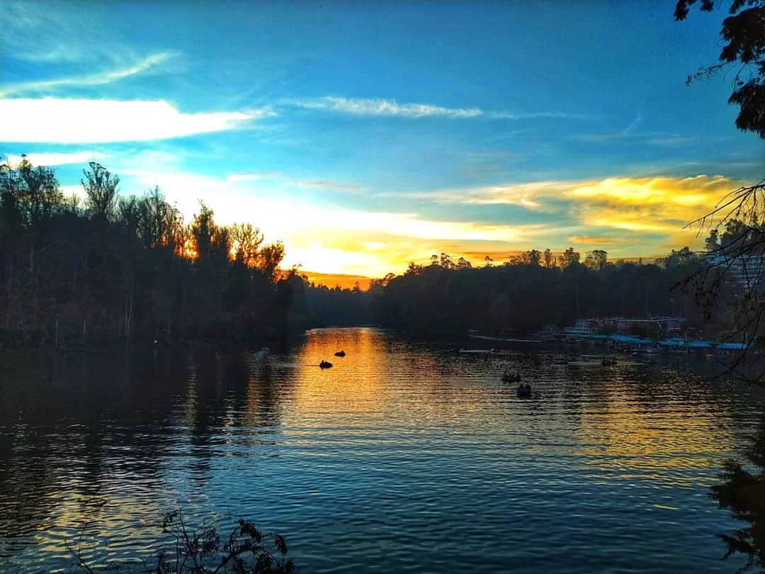 Stunning sunset Ooty Lake Udhagamandalam Nilgiris Tamil Nadu India golden orange sky reflections on serene emerald waters distant boats silhouetted eucalyptus shola forests hills blue clouds foreground branches, perfect Nilgiri hill station romantic tour 