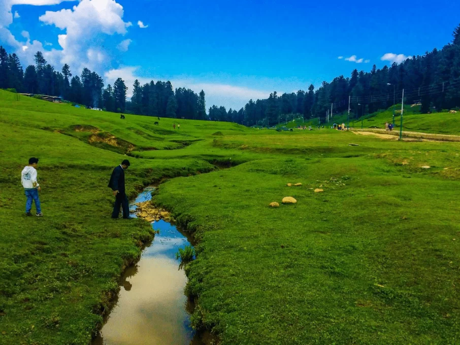 Yusmarg lush meadow during sunny day Kashmir, featuring green pastures Doodh Ganga stream tourists pine hills backdrop, perfect Kashmir tour packages. 
