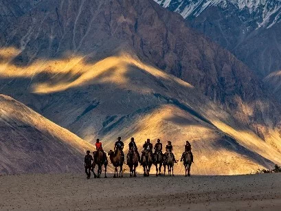 Bactrian double-hump camels riders silhouetted golden hour light vast sand dunes snow peak Zanskar Karakoram mountains Hunder Nubra Valley Ladakh camel safari tour package Diskit Gompa Sumur Turtuk Panamik hot springs Khardung La Leh perfect cold desert a