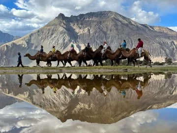 Bactrian camels caravan colorful riders trekking reflective water rugged Ladakh mountains Hunder Nubra Valley camel safari tour package Diskit Sumur Panamik Turtuk Khardung La Leh perfect adventure.