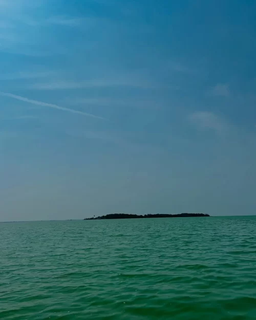 Scenic island view at Chilika Lake Odisha with vast green waters and clear sky highlighting natural beauty in Odisha tour packages