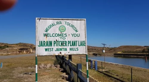 Jarain Pitcher Plant Lake