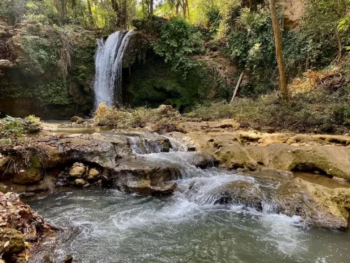 Jim Corbett Falls scenic waterfall terraced rocks green pool ivy cliffs, rippling cascade limestone boulders vines trees golden light, perfect Uttarakhand tour packages.