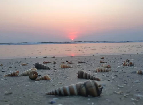 Serene Majorda Beach Goa sunset seashells golden sands, vibrant orange horizon gentle waves cloudy skies, perfect South Goa tranquil coastline beach package.