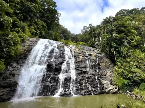 Abbey Waterfall at Madikeri Coorg during partly cloudy day, featuring cascading falls, rainforest and pool, perfect adventure Coorg tour package.