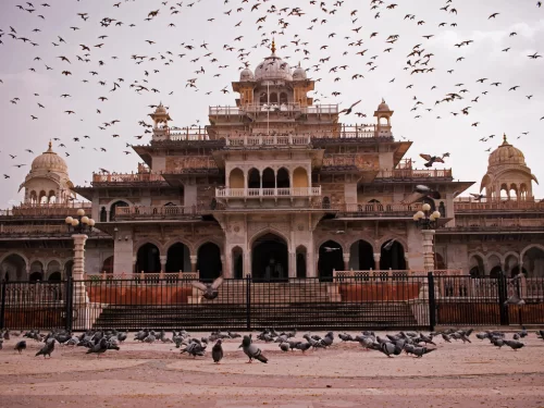 Albert Hall Museum in Jaipur with flocks of pigeons flying around domes and balconies under overcast sky, showcasing grand sandstone architecture and entrance steps, perfect Rajasthan tour package