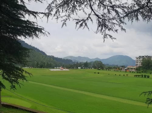 Annadale Ground in Shimla featuring a vast green meadow surrounded by pine trees and hills under a cloudy sky.