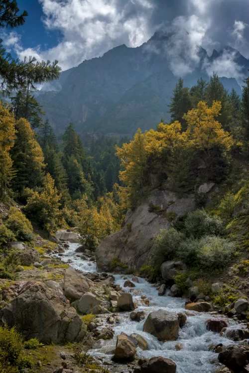 Crystal-clear Baspa River flowing through rocky terrain and dense pine forests in Chitkul, Himachal Pradesh, with majestic Himalayan peaks in the background, a scenic highlight of Himachal Pradesh tour packages.