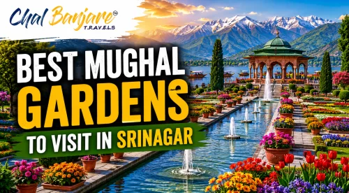 Best Mughal Gardens to Visit in Srinagar