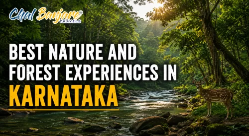 BestNatureandForestExperiencesinKarnataka_17805501360.webp
