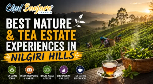 BestNatureandTeaEstateExperiencesinNilgiriHills_17805027330.webp