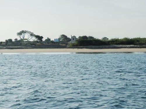 Beyt Dwarka island beach during clear day, featuring sandy shore with distant buildings, palm trees, and turquoise Arabian Sea, perfect pilgrimage experience with Gujarat tour packages.