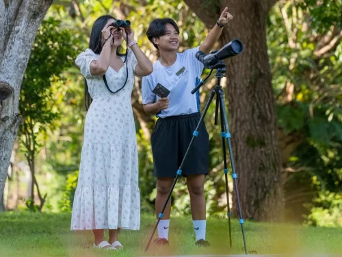 Bird Watching Two people enjoying bird watching in a lush green park, one using binoculars while the other points ahead beside a spotting scope on a tripod.