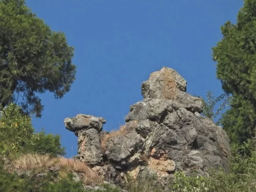 Camel’s Back Road Mussoorie natural camel-shaped rock formation scenic walking trail with Himalayan views