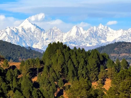 Chandak Hill in Pithoragarh, Uttarakhand offering panoramic views of snow-clad Himalayan peaks above dense pine forests, a scenic viewpoint featured in Uttarakhand tour packages