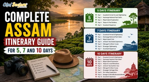 CompleteAssamItineraryGuidefor57and10Days_17831539740.webp