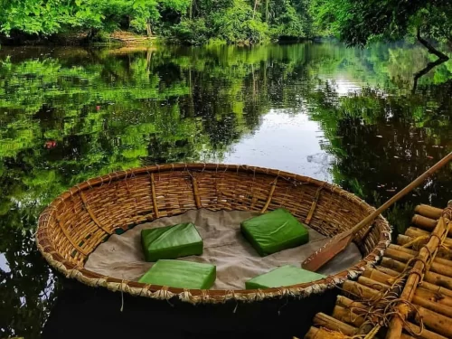Coracle Ride experience with a round bamboo boat floating on a calm green river surrounded by lush forest reflections.