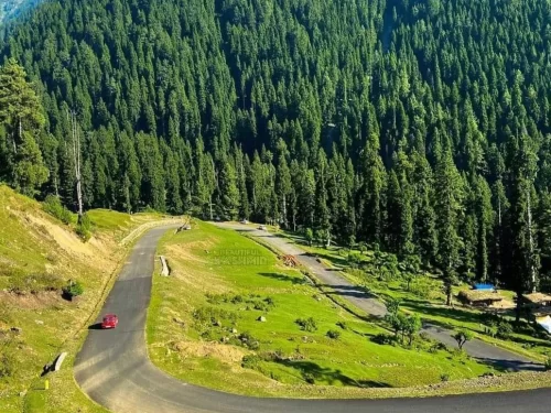 Daksum Kashmir scenic mountain valley with winding road, lush green meadows and dense pine forests in Anantnag