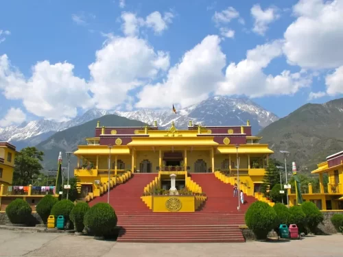 Golden Namgyal Monastery at McLeod Ganj during sunny day, featuring Dhauladhar mountains, prayer flags, red stairs, perfect spiritual Himachal Pradesh tour package.