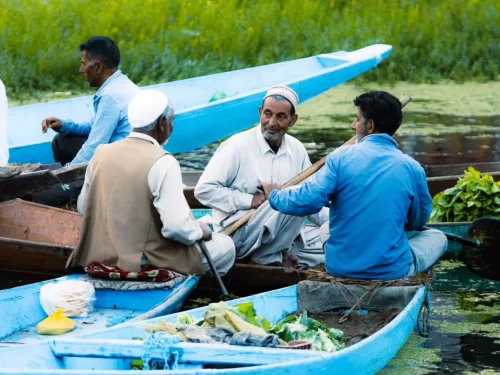 Dal Lake Srinagar Kashmir local Kashmiri men blue shikara boats lily pads, traditional topi veg vendors paddling serene waters, perfect Jammu Kashmir Dal Lake daily life package.