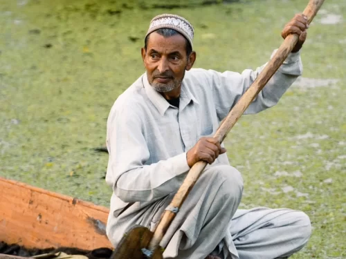 Dal Lake Srinagar Kashmir traditional Kashmiri man lily pad weeds shikara, embroidered topi white kurta paddle serene waters, perfect Jammu Kashmir Dal Lake weed cleaner package.
