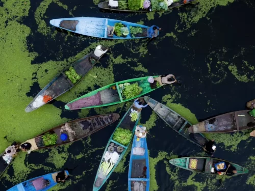 Dal Lake Srinagar Kashmir aerial vegetable vendor shikaras lily pad weeds, colorful boats fresh greens lotus leaves dark waters, perfect Jammu Kashmir Dal Lake market life package.