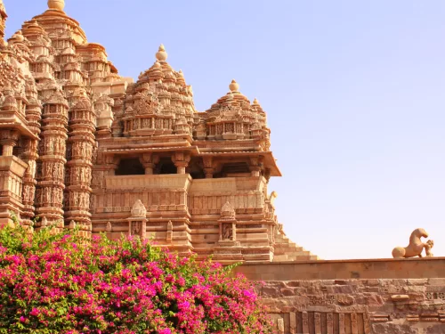 Devi Jagadambi Temple at Khajuraho during clear daylight, featuring sandstone shikhara pink bougainvillea carvings, perfect Madhya Pradesh heritage tour package.