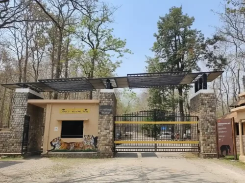 Dhangarhi Museum Jim Corbett National Park entrance gate with wildlife exhibits and forest backdrop Uttarakhand