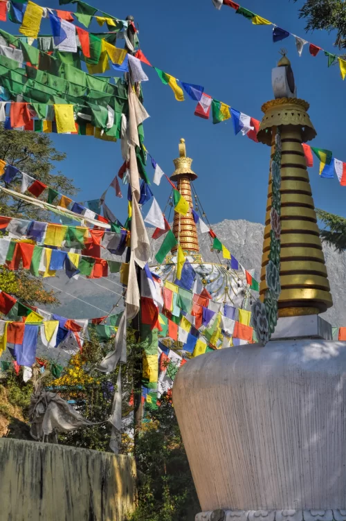 Colorful Tibetan prayer flags fluttering around a Buddhist stupa in Dharamshala, Himachal Pradesh, with Himalayan peaks in the background, a spiritual destination featured in Himachal Pradesh tour packages.