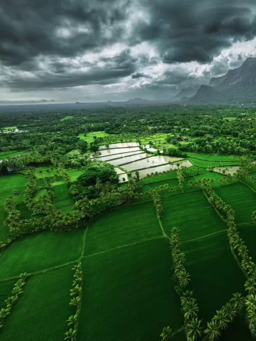 Aerial view of Munnar Kerala during monsoon, featuring lush green tea fields and misty hills, perfect nature escape Kerala tour package