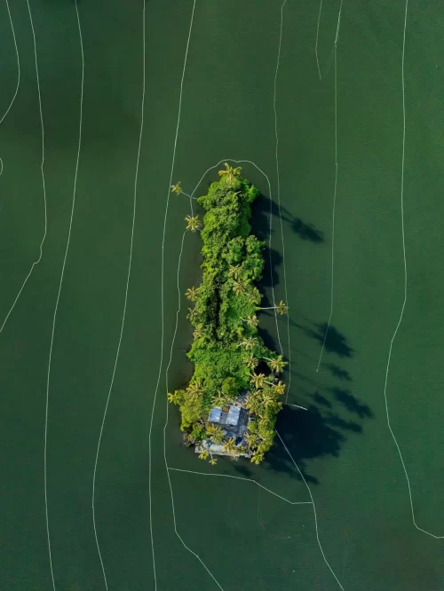 Aerial view of lush island near Munnar Kerala during clear day, featuring palm trees and calm waters, perfect nature escape Kerala tour package