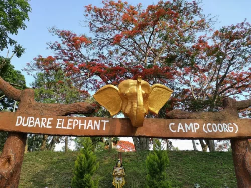 Dubare Elephant Camp entrance at Coorg during sunny day, featuring golden elephant arch, flame of forest trees, statue, hills, perfect adventure experience Karnataka tour packages.