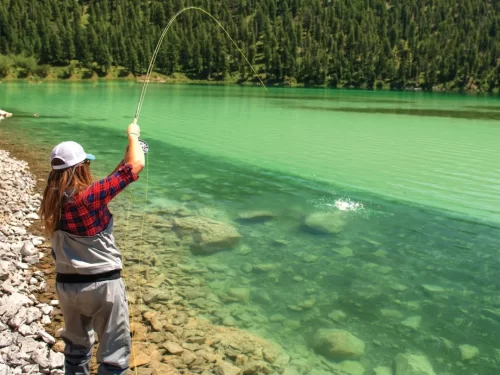 Fishing person casting a fishing rod into a clear turquoise lake surrounded by pine forest and rocky shoreline under bright daylight.