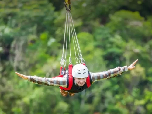 Flying Fox person gliding on a zipline harness with arms stretched wide above lush green forest background.